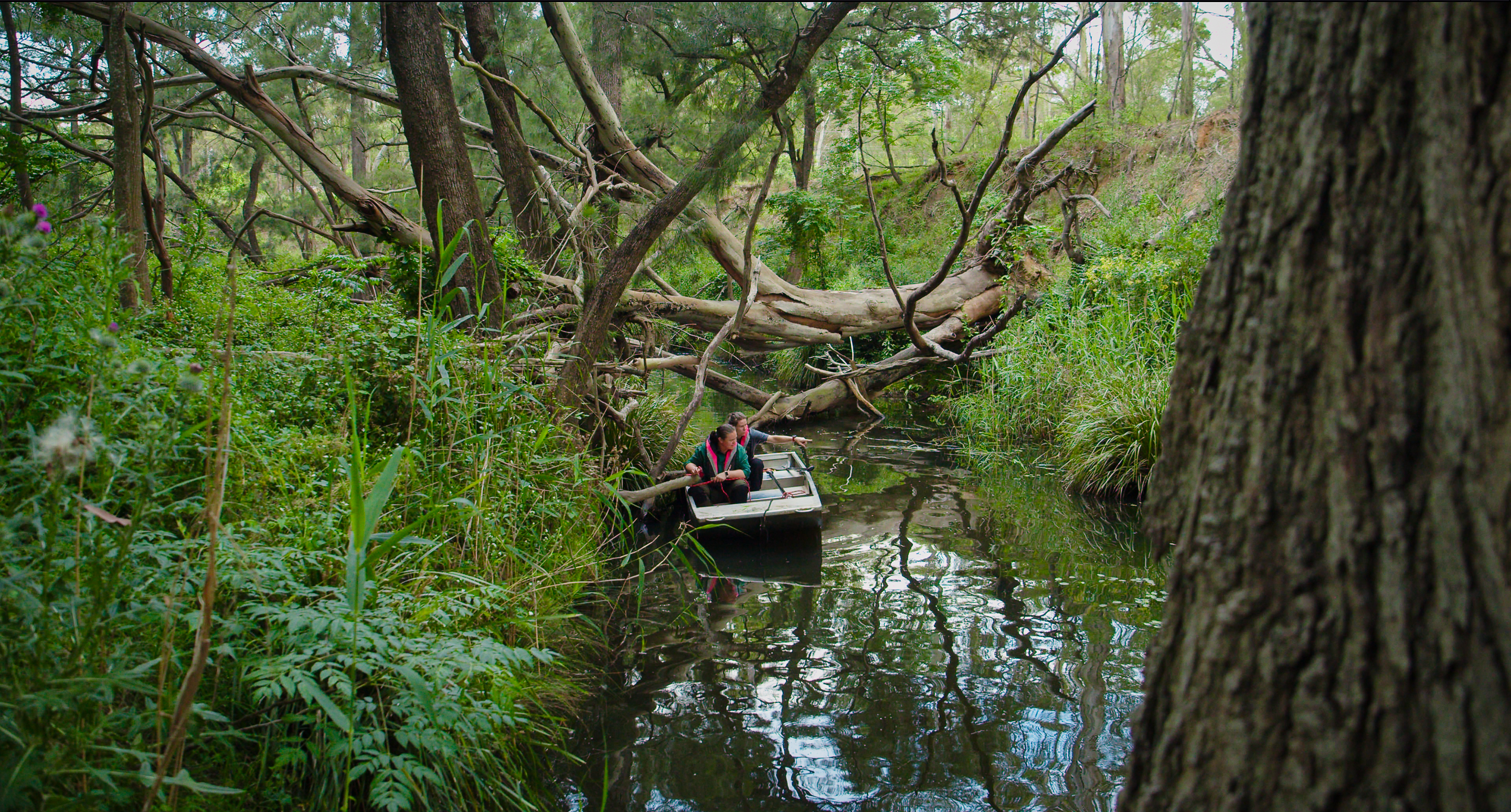 Our River Still 3